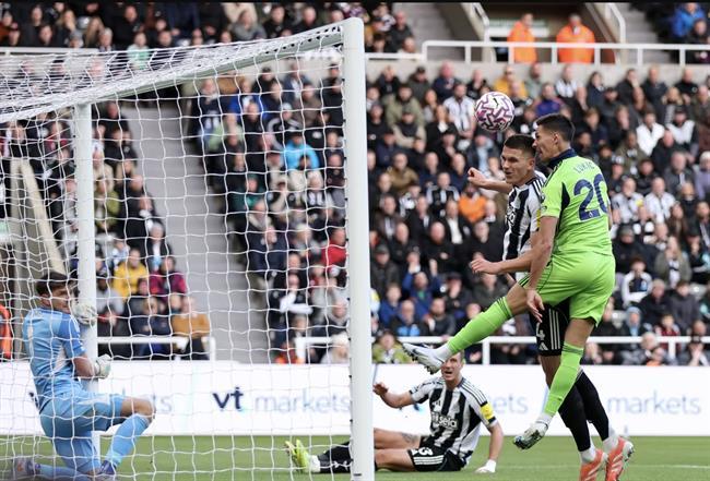 Nhận định Newcastle vs Tottenham (03h00 ngày 30/10): Bữa tiệc tại St. James' Park Nhận định Newcastle vs Tottenham (03h00 ngày 30/10): Bữa tiệc tại St. James' Park